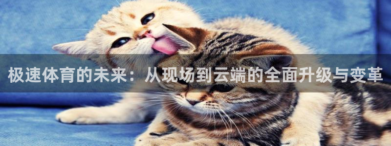 nba在线直播观看直播看球吧：极速体育的未来：从现场到云端的全面升级与变革