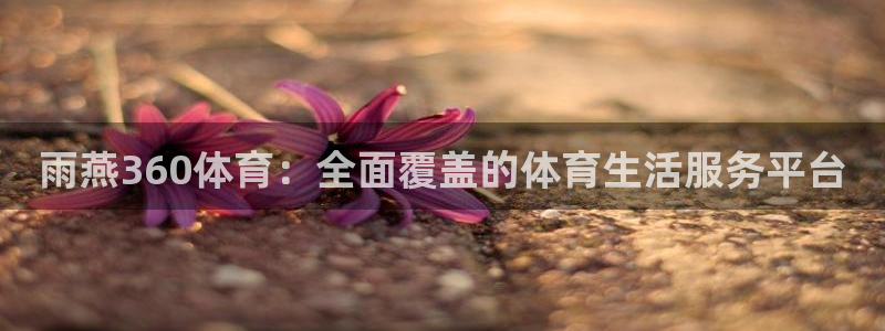 nba在线直播观看直播看球吧：雨燕360体育：全面覆盖的体育生活服务平台